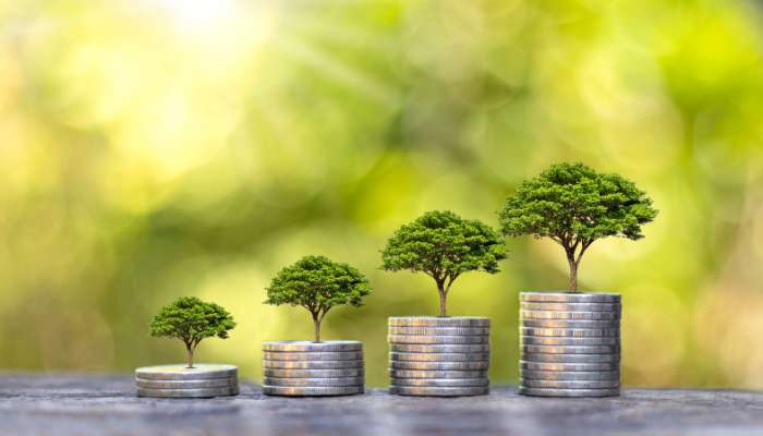 Increase Your Income